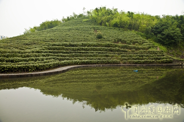 重慶同景新城