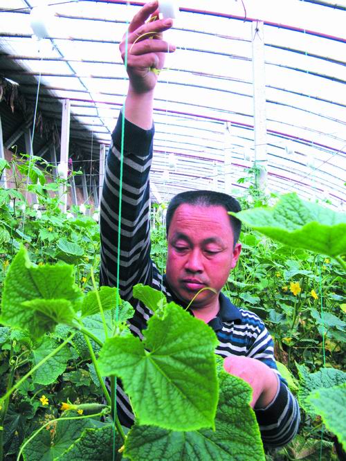 園林科技