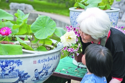 荷花 文化 莫愁湖