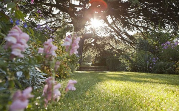 英國(guó)花園海德科特花園(英格蘭格洛斯特郡)