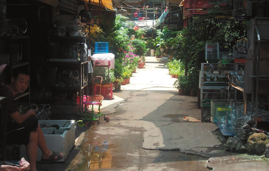 鮮花市場