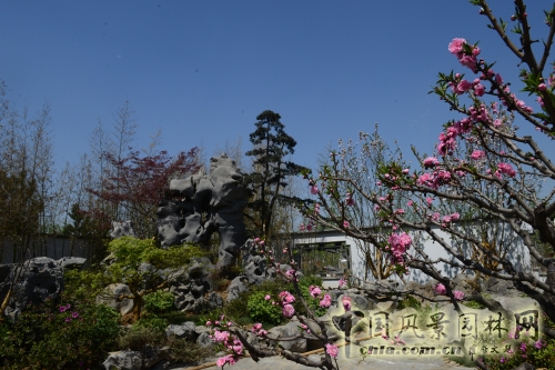 杭州園