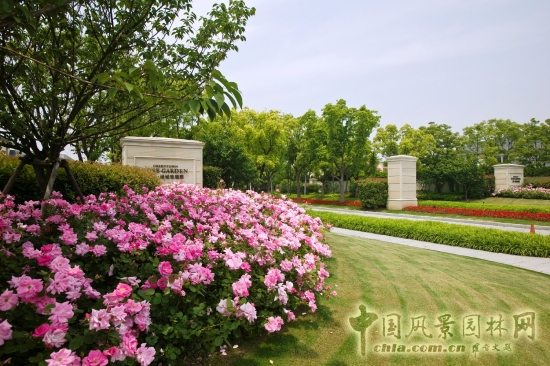 綠城玫瑰園