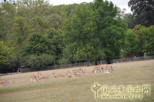 金頭公園