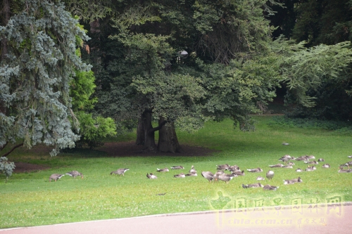 金頭公園