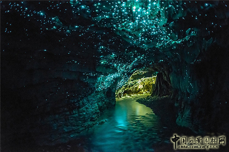 全球美景