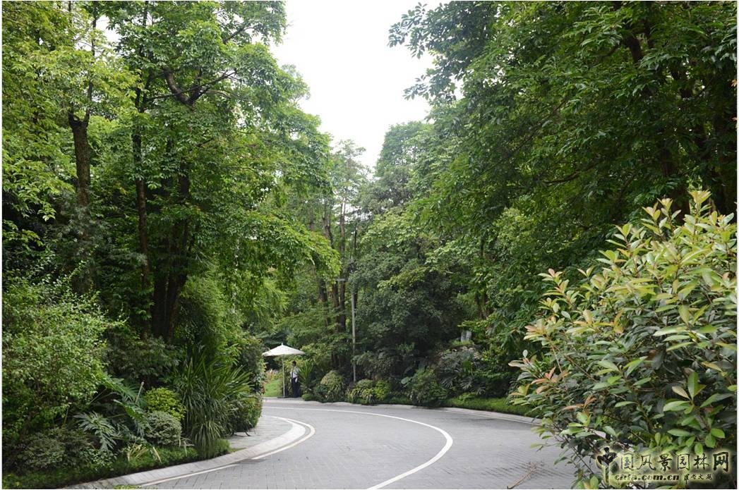 新山水 體驗(yàn)式景觀 山水城市 山水文化 古典園林