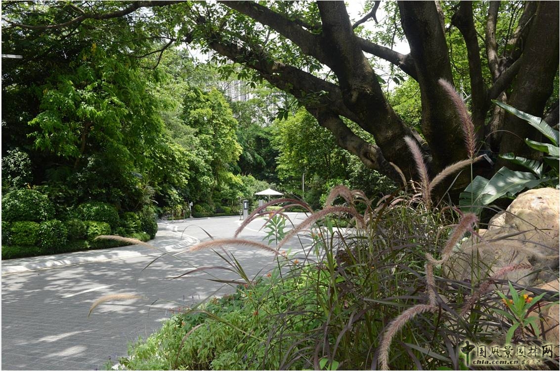 新山水 體驗(yàn)式景觀 山水城市 山水文化 古典園林