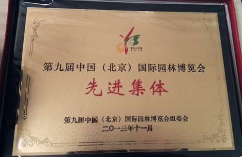 先進集體