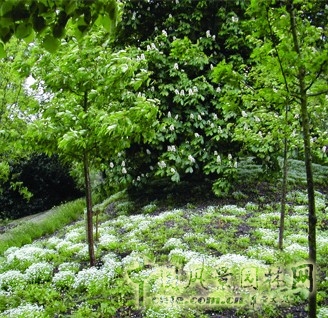 倫敦水晶公園