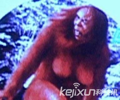 神農架野人