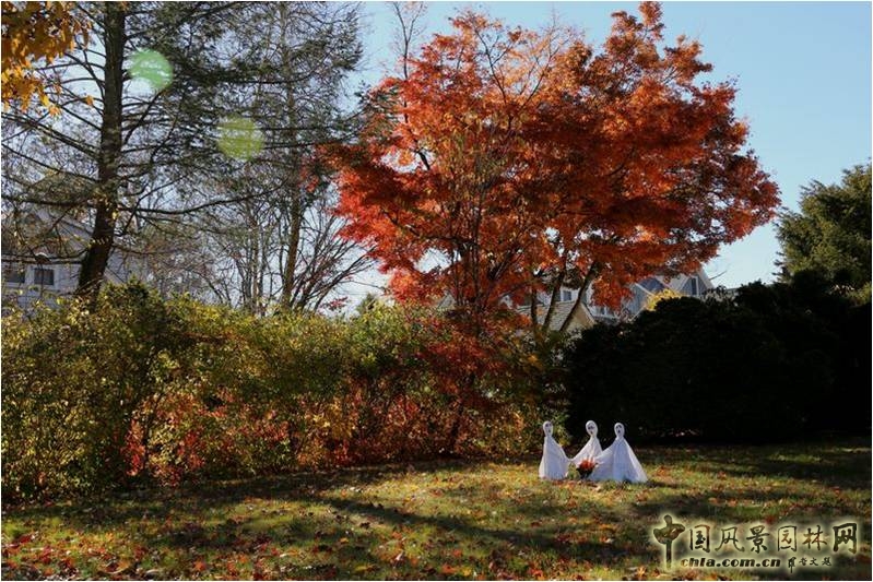 美國鄉村公園