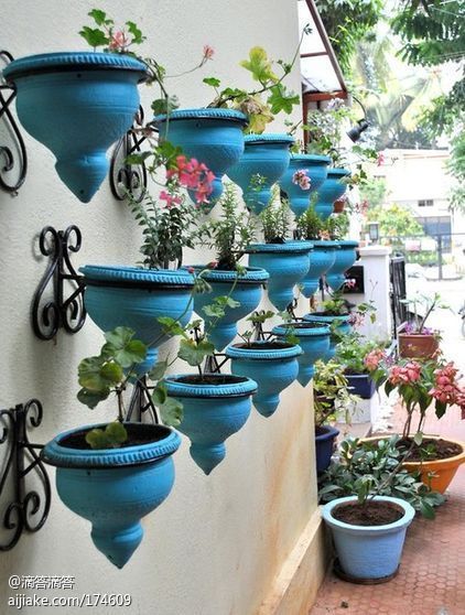 草本植物綠化