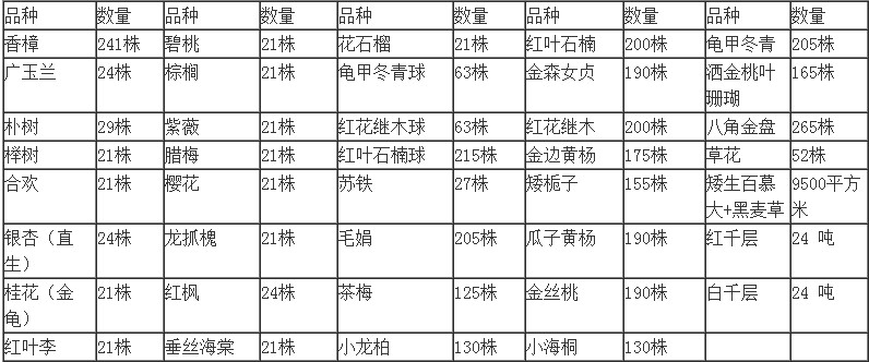 苗木數量