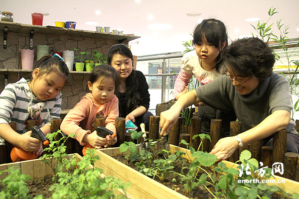天津首家可食用藥用植物體驗中心開幕