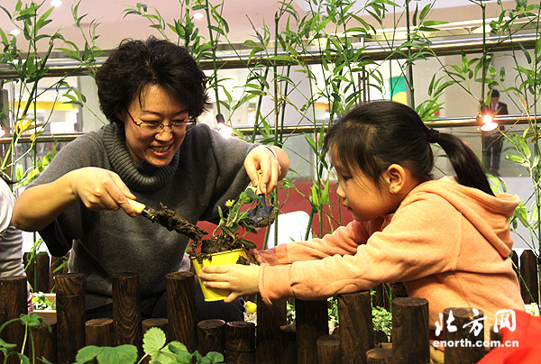 孩子體驗(yàn)中植可食用藥用植物的樂趣