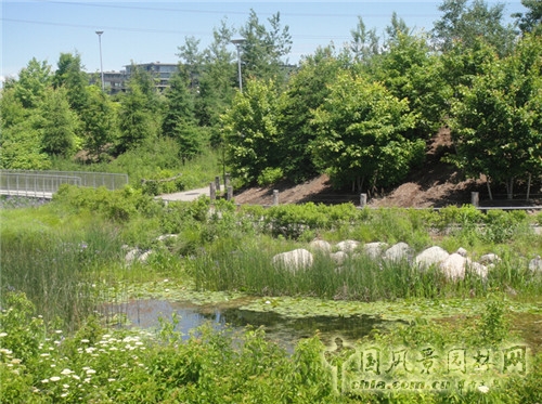 Corktown Park