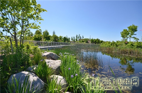 Corktown Park