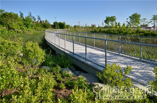 Corktown Park