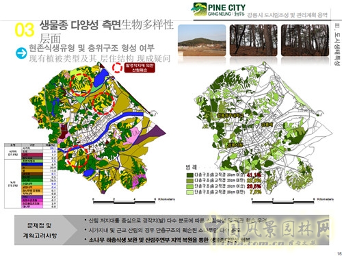 趙泰東：韓國江陵市城市林建設(shè)和管理計(jì)劃