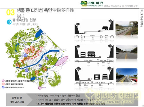 趙泰東：韓國江陵市城市林建設(shè)和管理計(jì)劃
