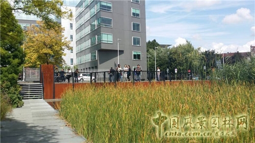 巨人花園