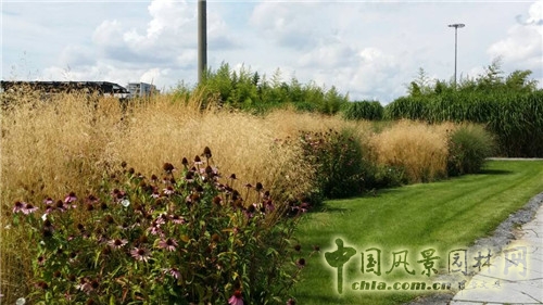 巨人花園
