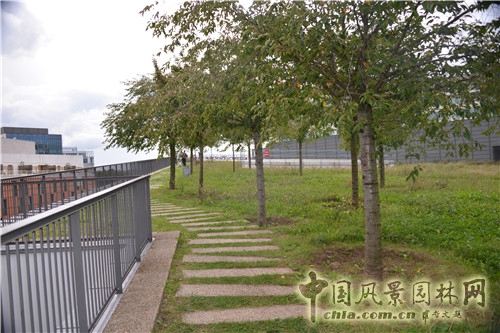 黑奶牛公園