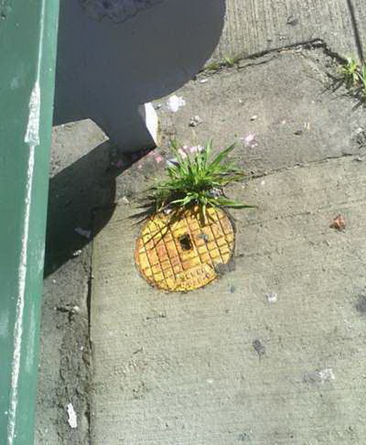 城市涂鴉