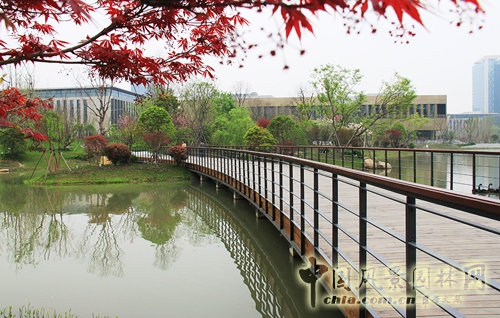 華為杭州生產基地 景觀工程 屋頂綠化