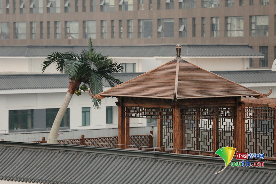 北京八一中學(xué) 屋頂花園 樓頂游泳池 樓頂花園