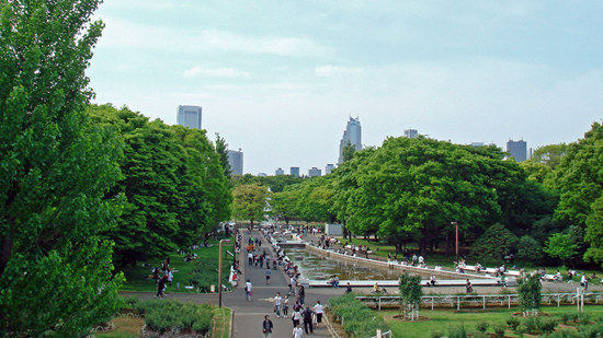 代代木公園 登革熱 重新開(kāi)放