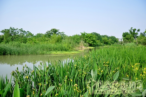 杭州西溪國家濕地公園