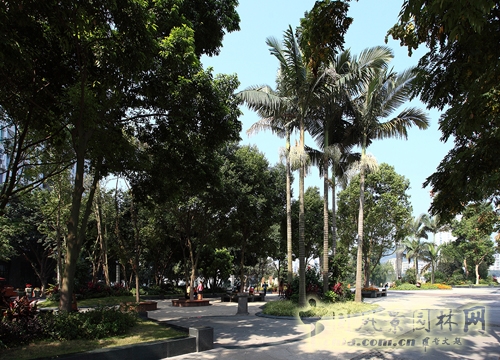 瀘州濱江公園