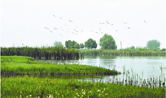 后官湖近景