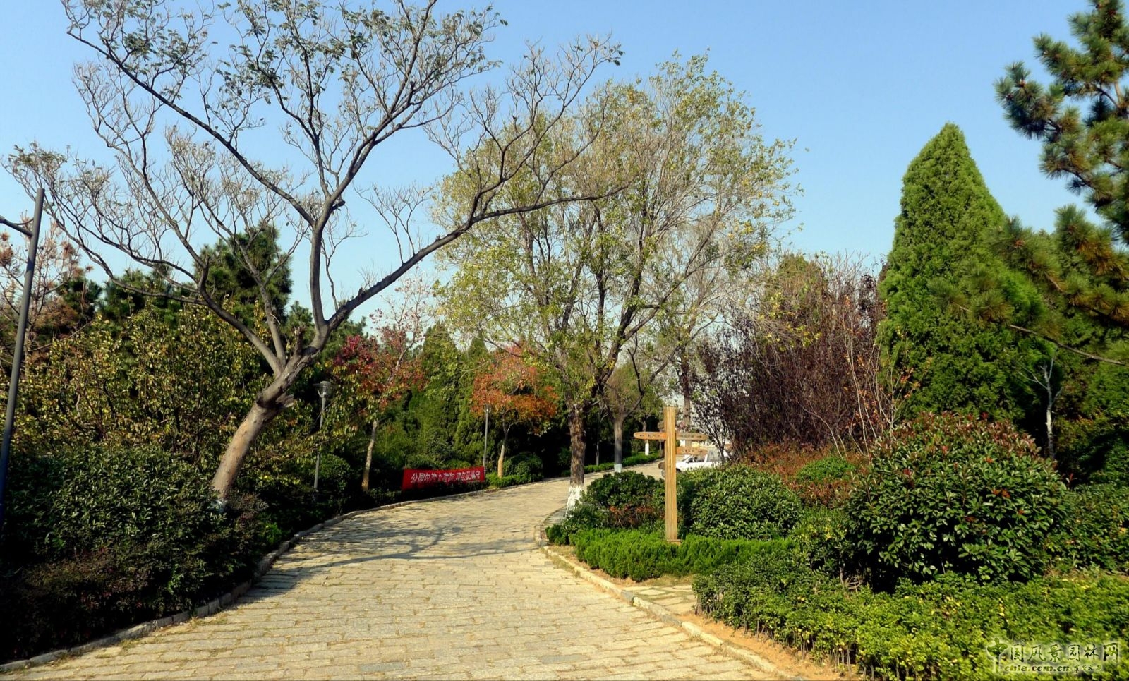 生態(tài)性園路與鋪裝的應(yīng)用——主園路（嵌草鋪裝)