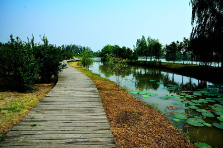 西安：浐灞生態(tài)國(guó)家濕地公園