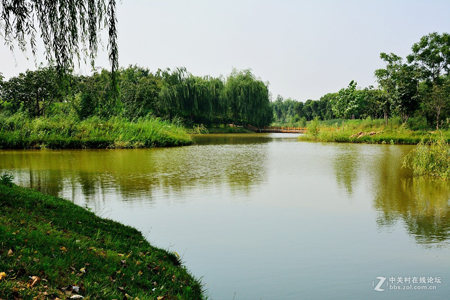 西安：浐灞生態(tài)國(guó)家濕地公園