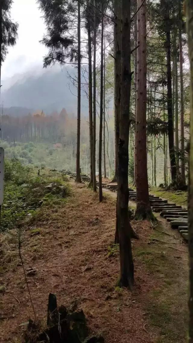 探討：風景園林的內涵與外延