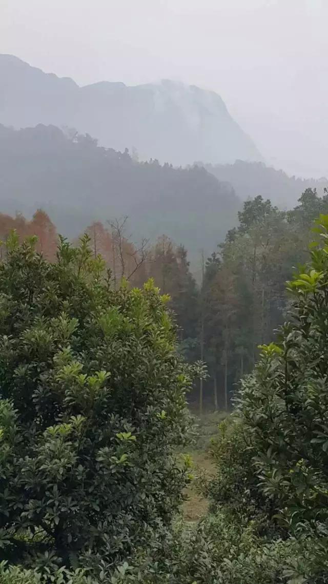 探討：風景園林的內涵與外延