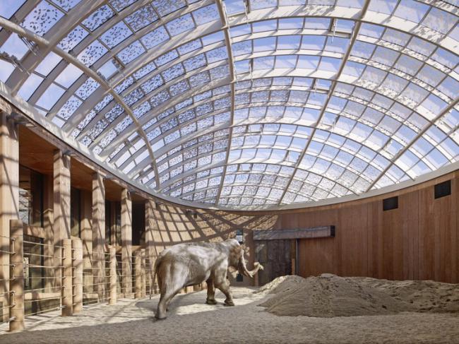 8個為動物而建的建筑設計項目