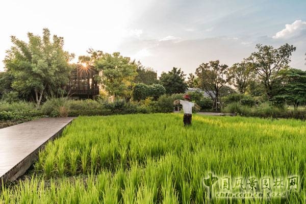 泰國Saraburi市Ming Mongkol綠色公園景觀設(shè)計(jì)