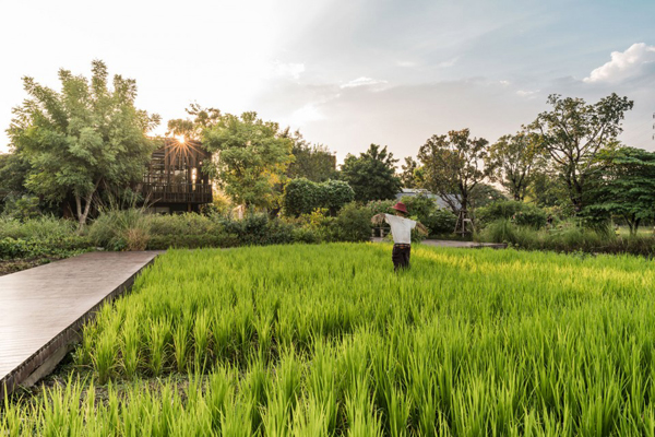 泰國(guó)：Ming Mongkol綠色公園