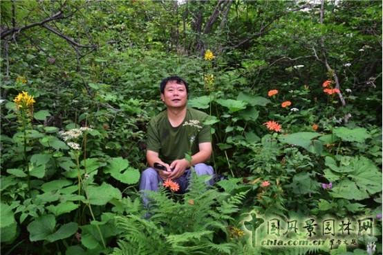 James Hitehmough：發(fā)展可持續(xù)城市的植物群落