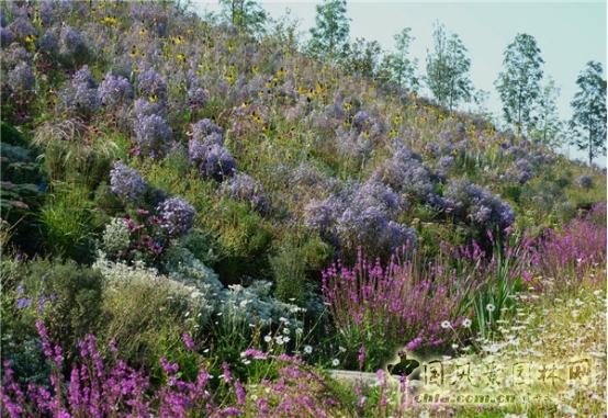 James Hitehmough：發展可持續城市的植物群落