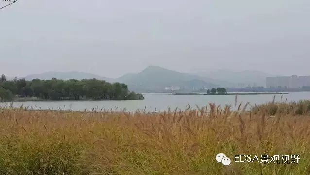 關(guān)于舉辦濕地公園案例項(xiàng)目考察的邀請(qǐng)函