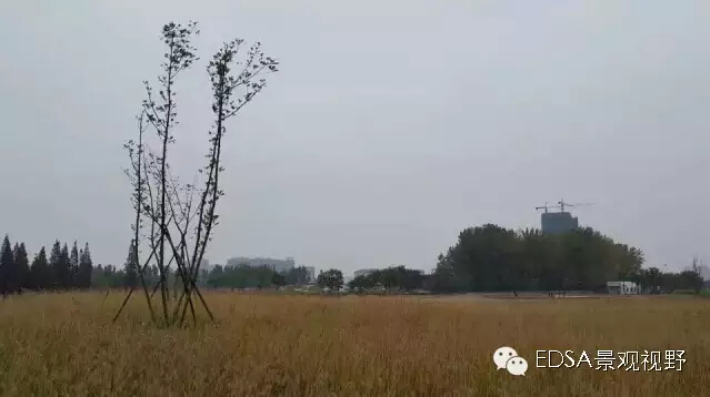 關(guān)于舉辦濕地公園案例項(xiàng)目考察的邀請(qǐng)函