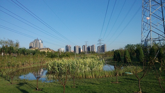 北京望和公園規(guī)劃設(shè)計(jì)分析