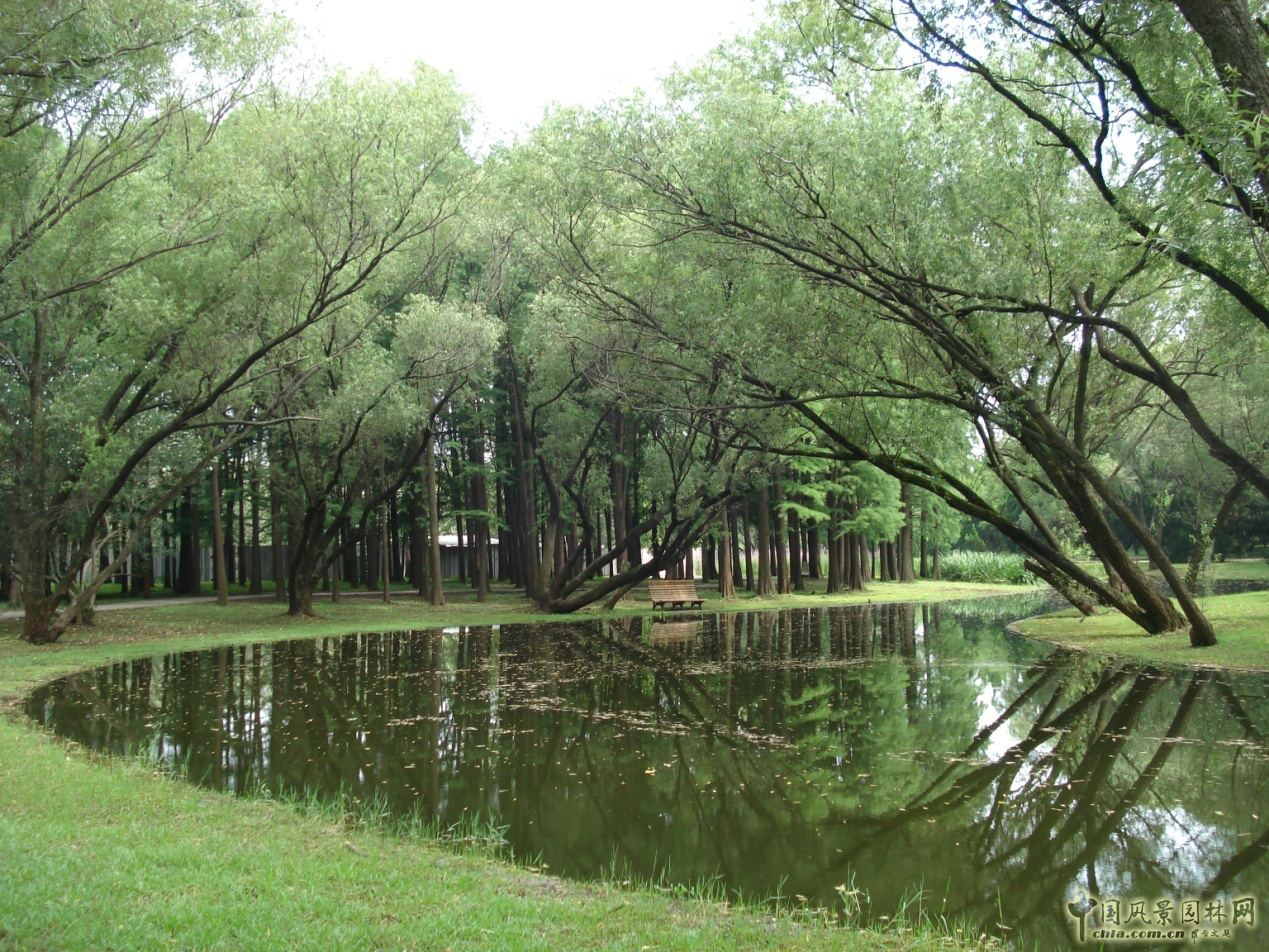 南京林業(yè)大學(xué)風景園林學(xué)院社會實踐活動（二）