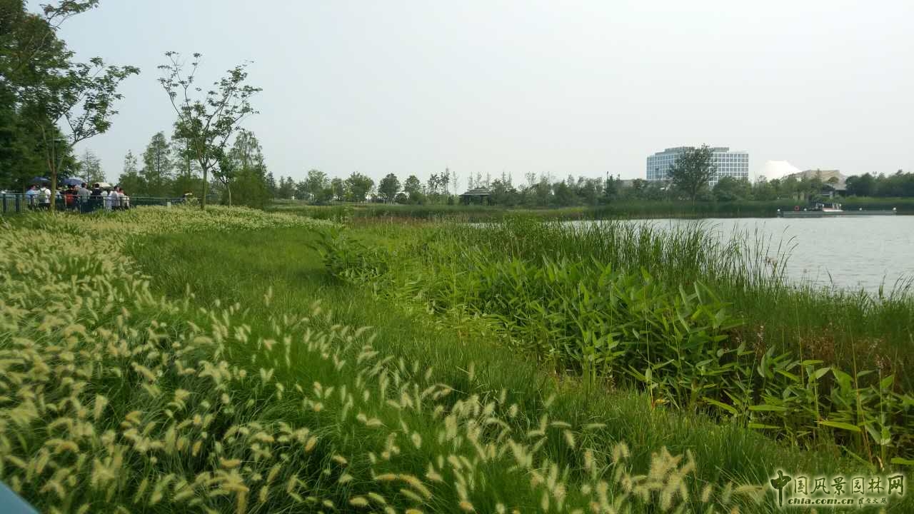 系列報道4：南林風(fēng)景園林學(xué)院走進(jìn)上海園林集團